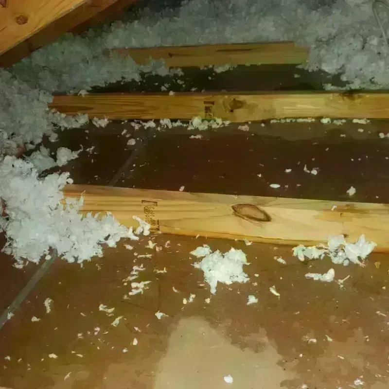 Attic Water Damage in Mount Carmel, OH